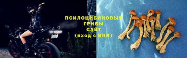 apvp Верхний Тагил